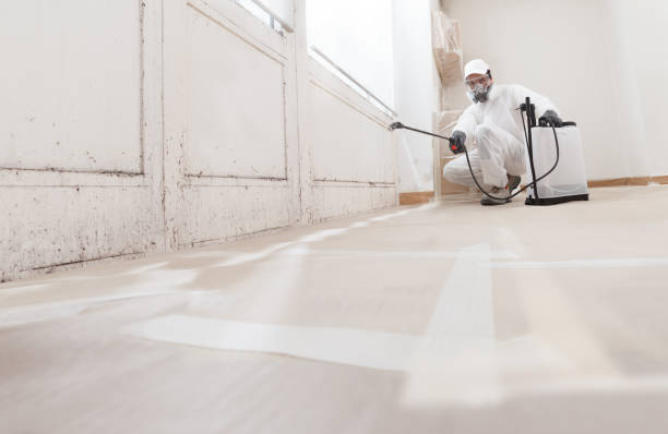 24/7 Emergency Attic Mold Remediation experts in Lakewood, IL